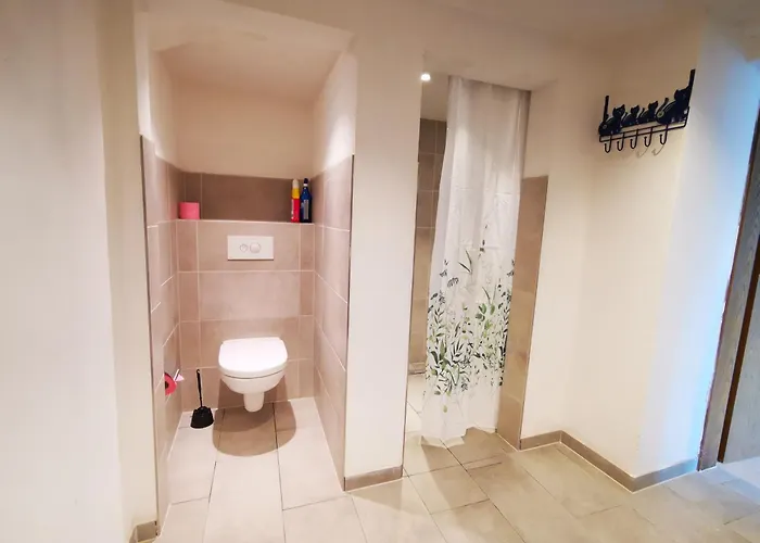 Prostay Lier Meschede